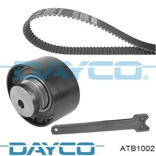 Tensor de la correa de distribución Dayco ATB1002 precio, desde 30,20 EUR