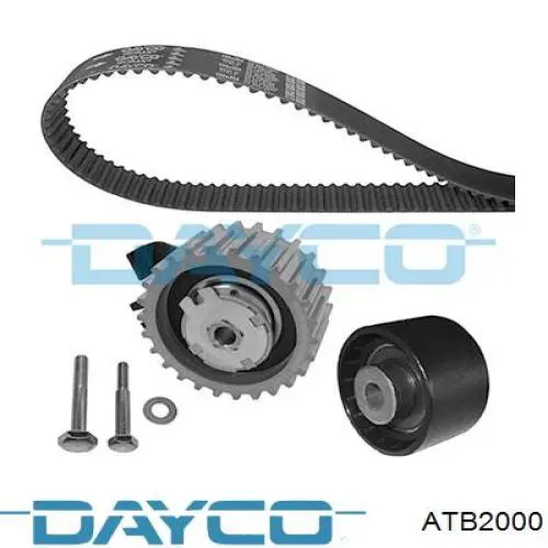 Rodillo intermedio de correa dentada Fiat Bravo 2 198