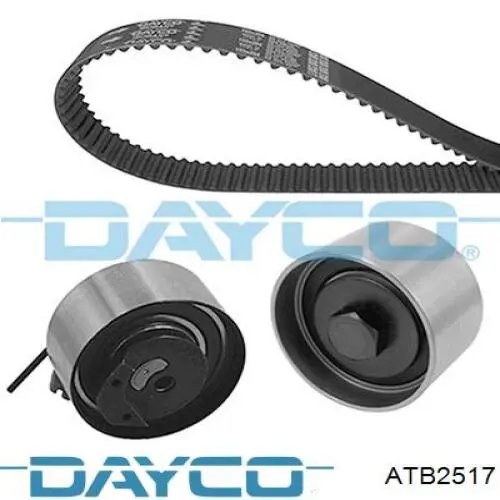 Tensor de la correa de distribución Dayco ATB2517 precio, desde 55,34 EUR