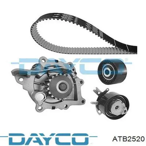 Tensor de la correa de distribución Metalcaucho 57154 precio, desde 14,99 EUR