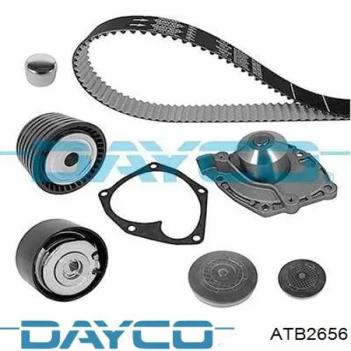 Rodillo intermedio de correa dentada Renault Espace 4 JK0