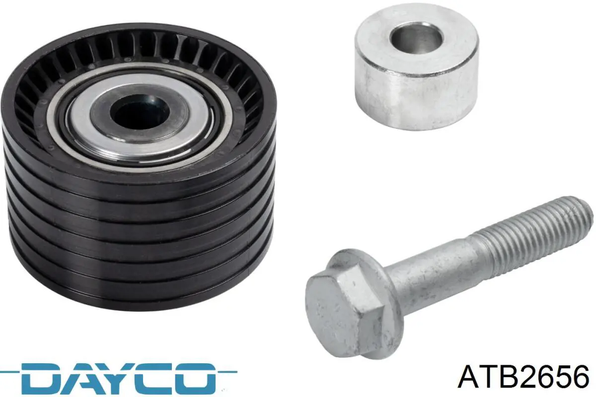 Rodillo intermedio de correa dentada Renault Espace 4 JK0