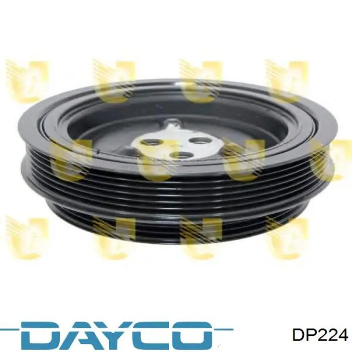 Motor de agua Dayco DP224