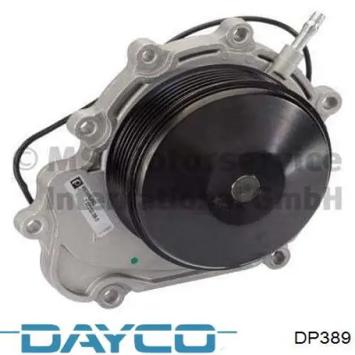 DP389 Dayco bomba de agua