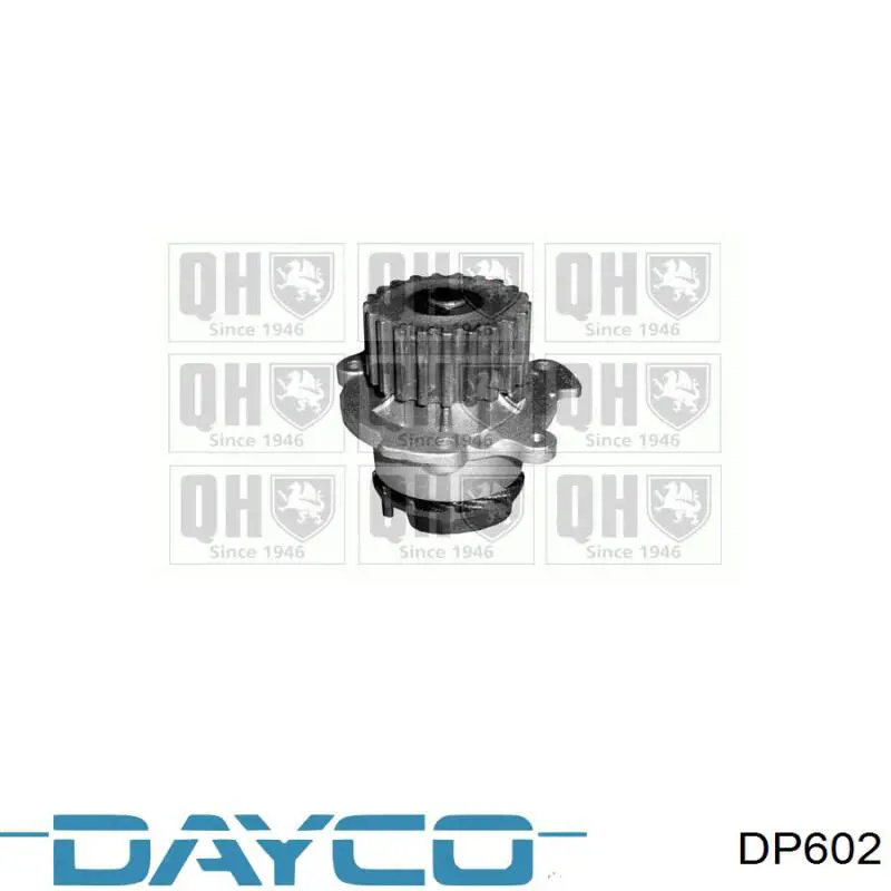 Bombeadora de agua Dayco DP602 precio, desde 21,29 EUR