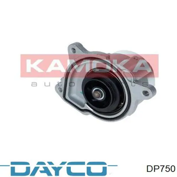 Motor de agua Dayco DP750