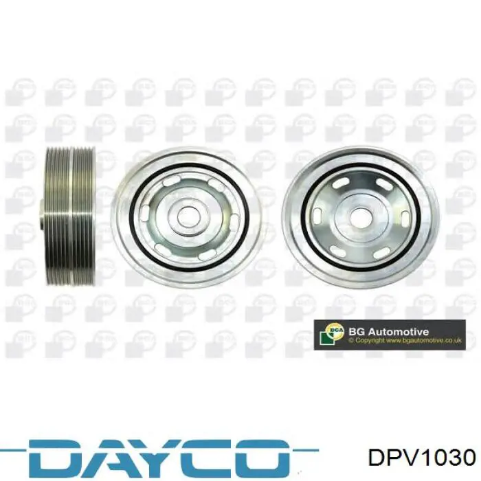 DPV1030 Dayco Dámper