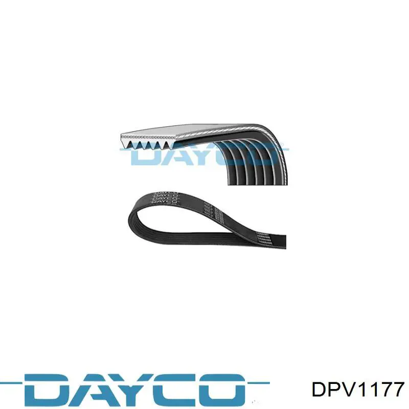 Polea del cigüeñal Dayco DPV1177 precio, desde 83,24 EUR