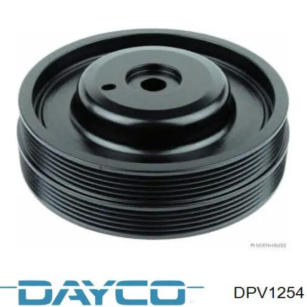 DPV1254 Dayco polea de cigüeñal