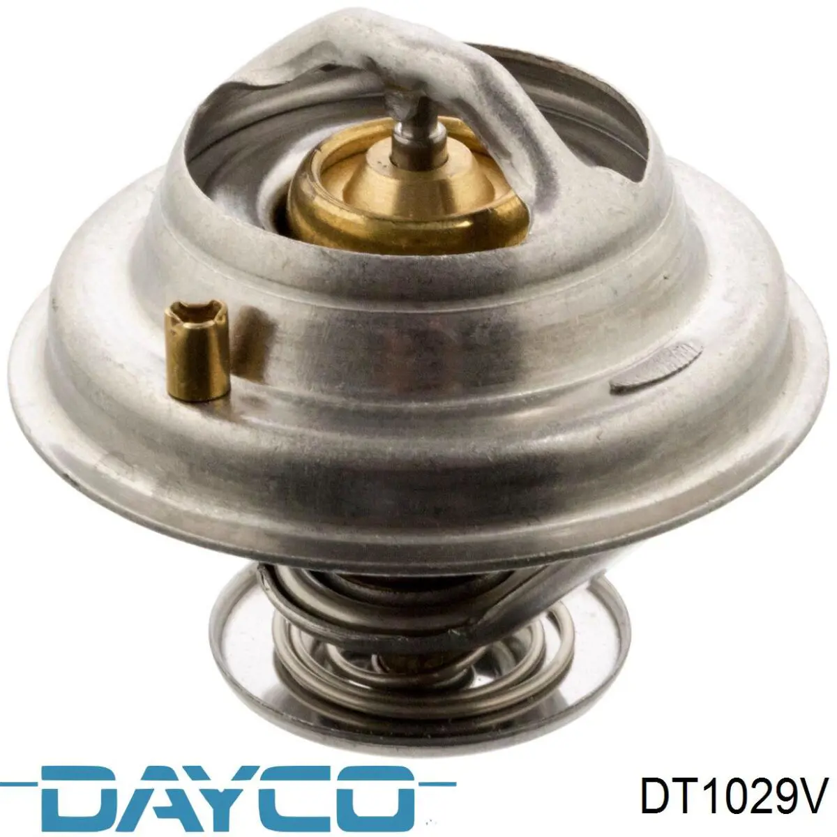 DT1029V Dayco termostato