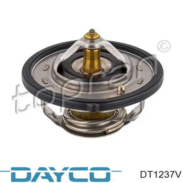 DT1237V Dayco termostato