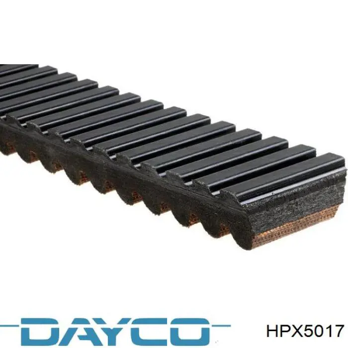 Correa de variador Dayco HPX5017 precio, desde 95,77 EUR