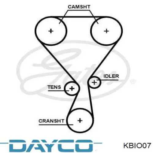 KBIO07 Dayco Kit correa de distribución