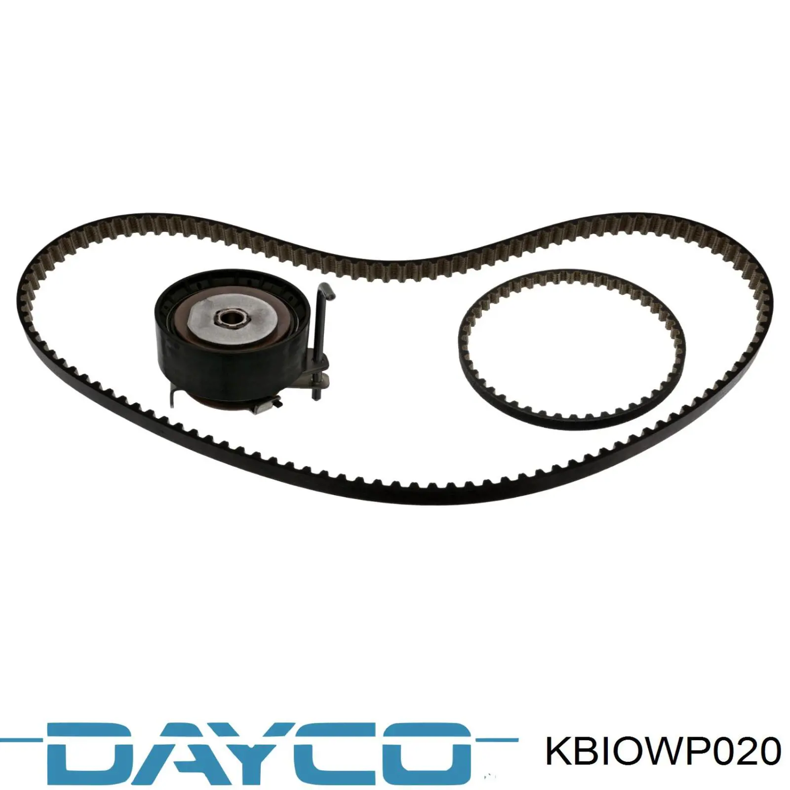 KBIOWP020 Dayco