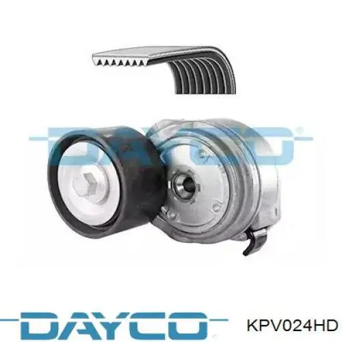 KPV024HD Dayco correa de transmision, juego completo