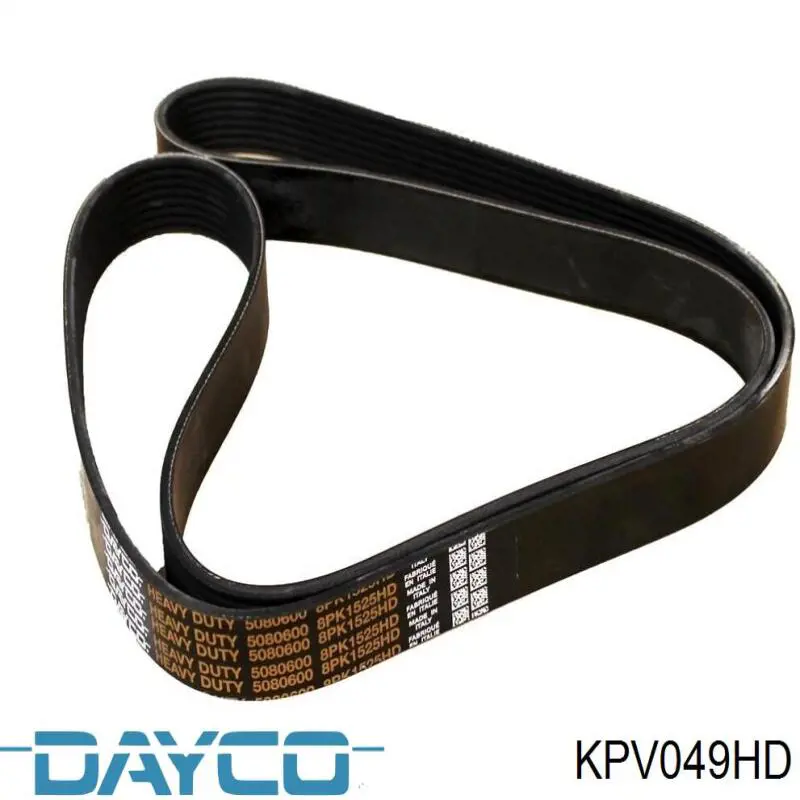 Correa de transmisión, juego Dayco KPV049HD precio, desde 169,43 EUR