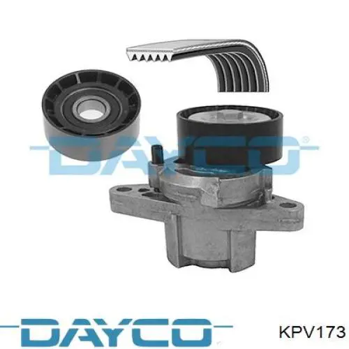 KPV173 Dayco correa de transmisión