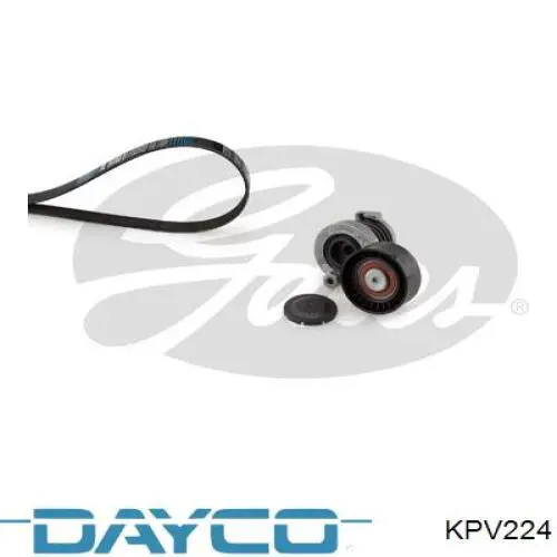 Correa de transmisión, juego Dayco KPV224 precio, desde 144,64 EUR