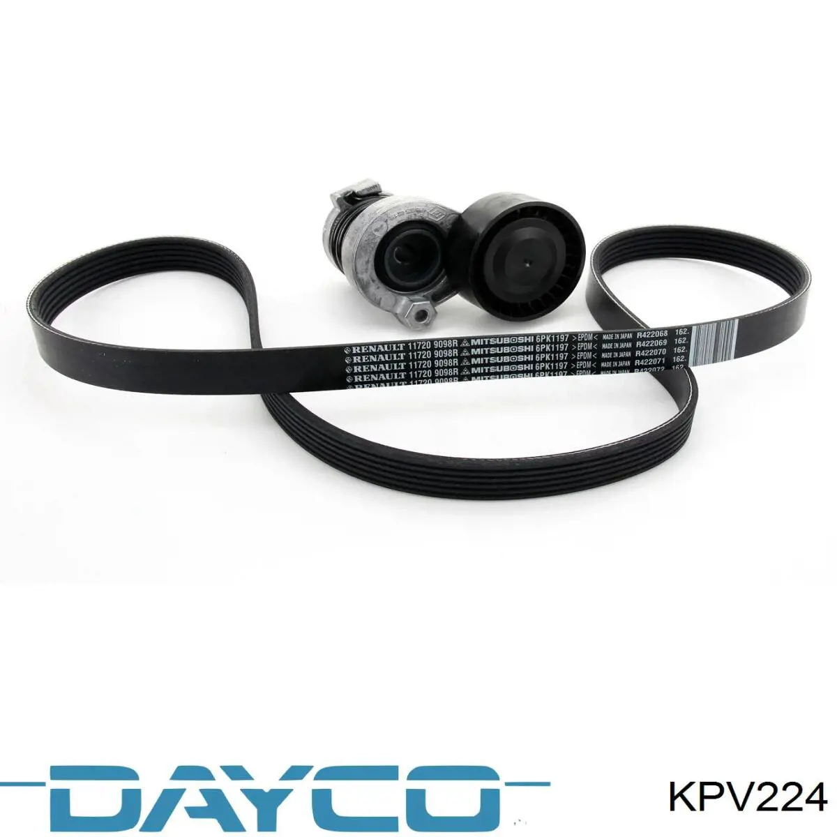 Comprar KPV224 Dayco Correa de transmisión