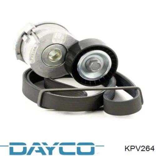 Correa de transmisión, completo Peugeot/Citroen 1611278380 precio, desde 59,62 EUR