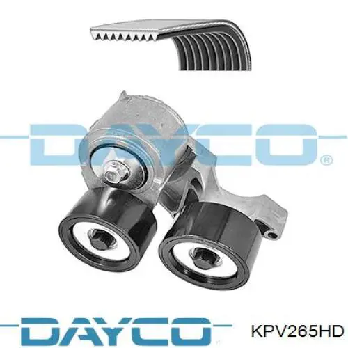 Correa de transmisión, juego Dayco KPV265HD precio, desde 173,33 EUR
