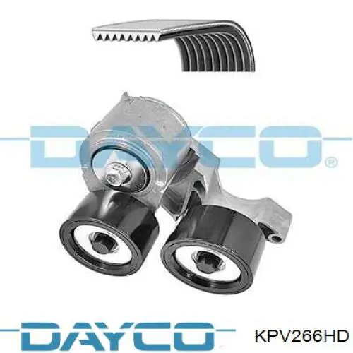 KPV266HD Dayco correa de transmisión