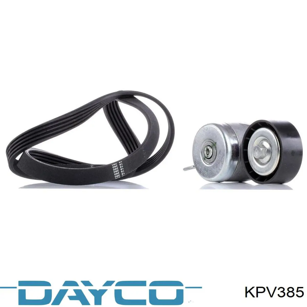 Correa de transmisión, juego Fiat/Alfa/Lancia 55249822 precio, desde 51,32 EUR