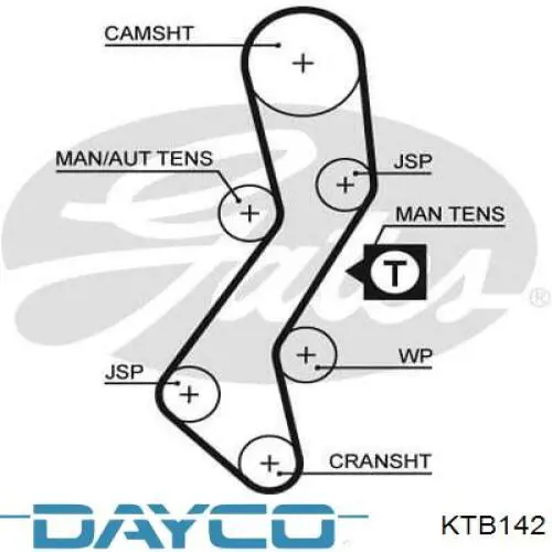 KTB142 Dayco Kit correa de distribución