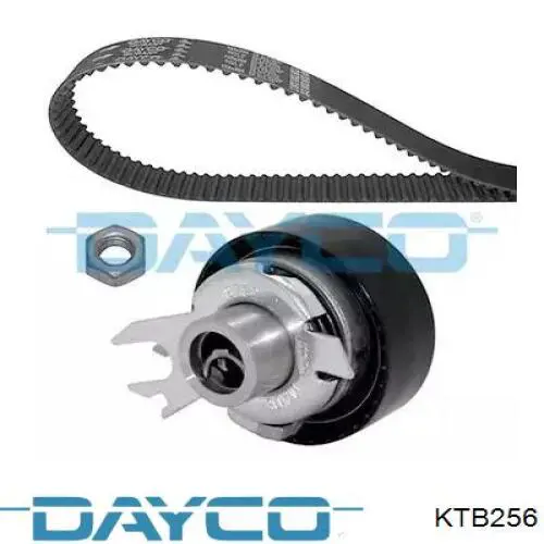 Comprar KTB256 Dayco Kit de correa de distribución