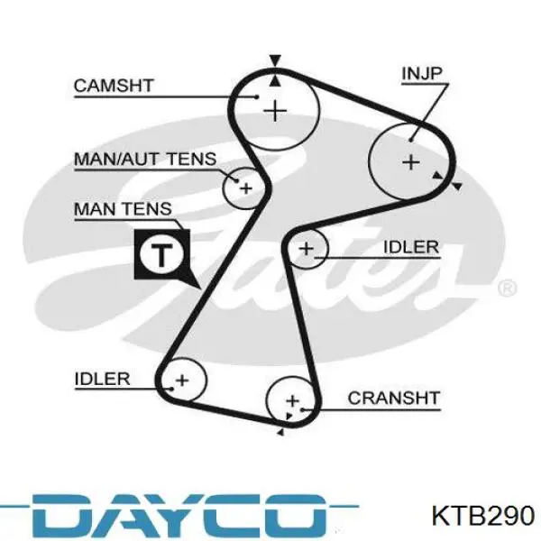 Juego de correas dentadas Dayco KTB290 precio, desde 436,17 EUR