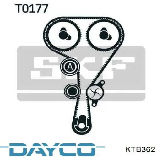 KTB362 Dayco Kit correa de distribución