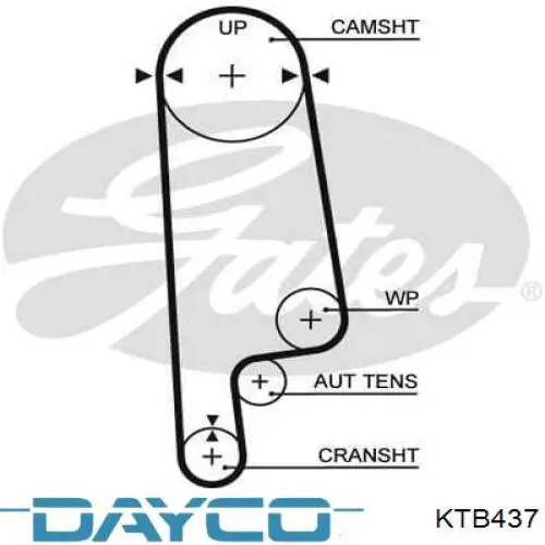Comprar KTB437 Dayco Kit de correa de distribución
