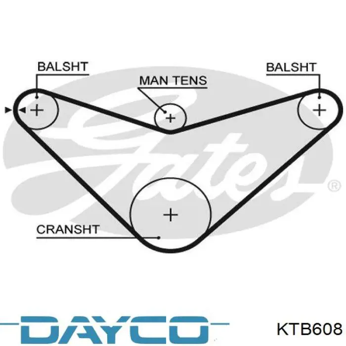 KTB608 Dayco kit correa de distribución