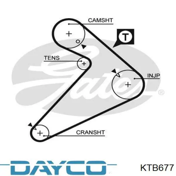Juego de correas dentadas Dayco KTB677 precio, desde 108,21 EUR
