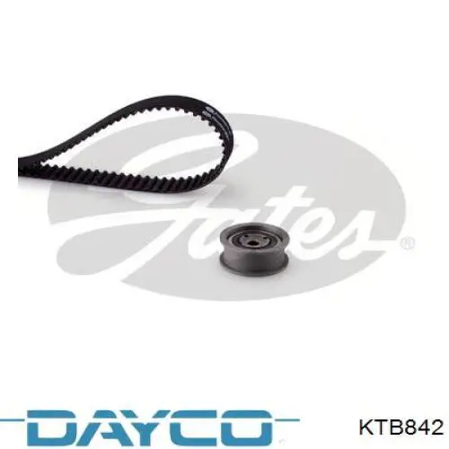 Comprar KTB842 Dayco Kit de correa de distribución