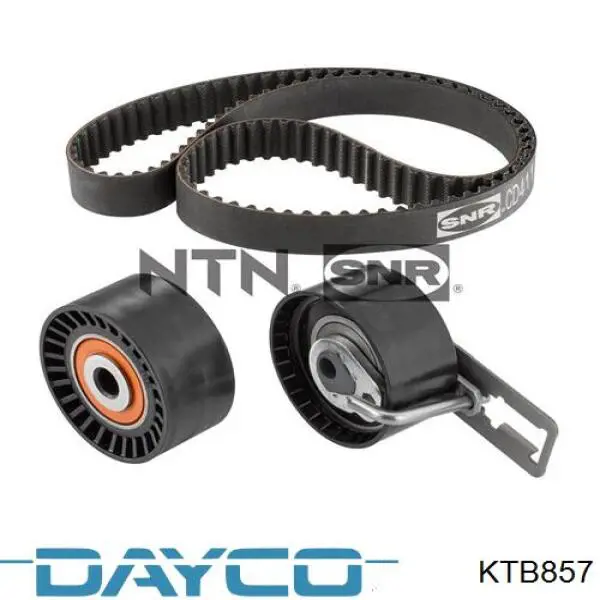 Juego de correas dentadas Dayco KTB857 precio, desde 150,25 EUR