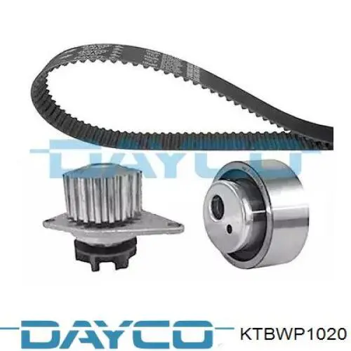 Comprar KTBWP1020 Dayco Kit de correa de distribución