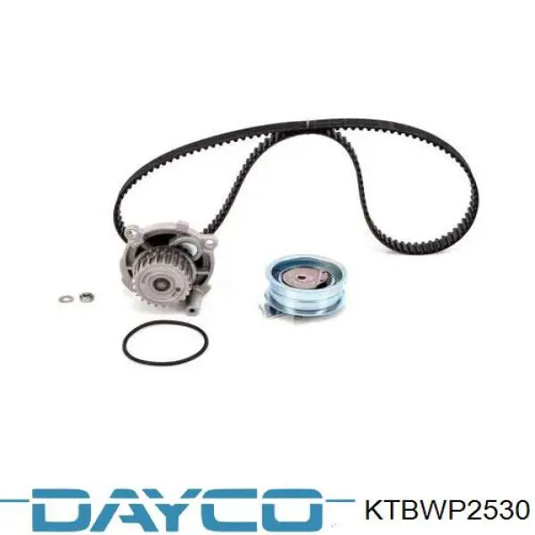 Juego de correas dentadas Dayco KTBWP2530 precio, desde 184,34 EUR