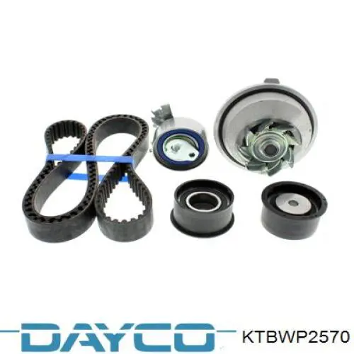 Juego de correas dentadas Dayco KTBWP2570 precio, desde 228,13 EUR