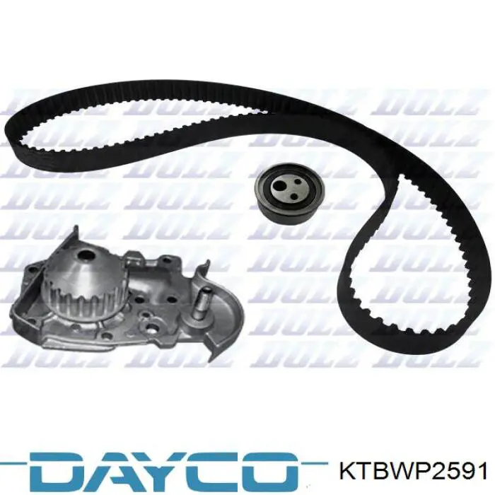 Juego de correas dentadas Dayco KTBWP2591 precio, desde 158,79 EUR
