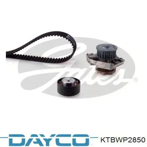 Juego de correas dentadas Dayco KTBWP2850 precio, desde 88,86 EUR