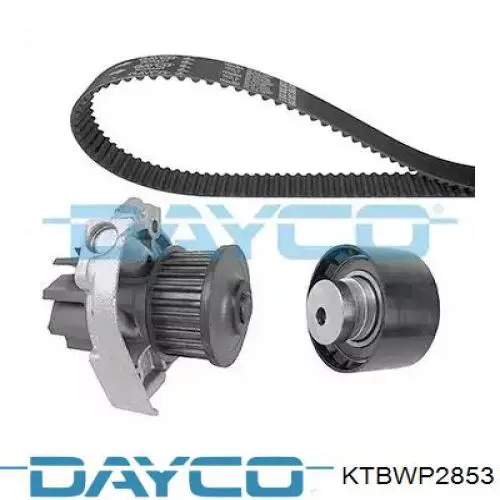 Juego de correas dentadas Dayco KTBWP2853 precio, desde 80,05 EUR