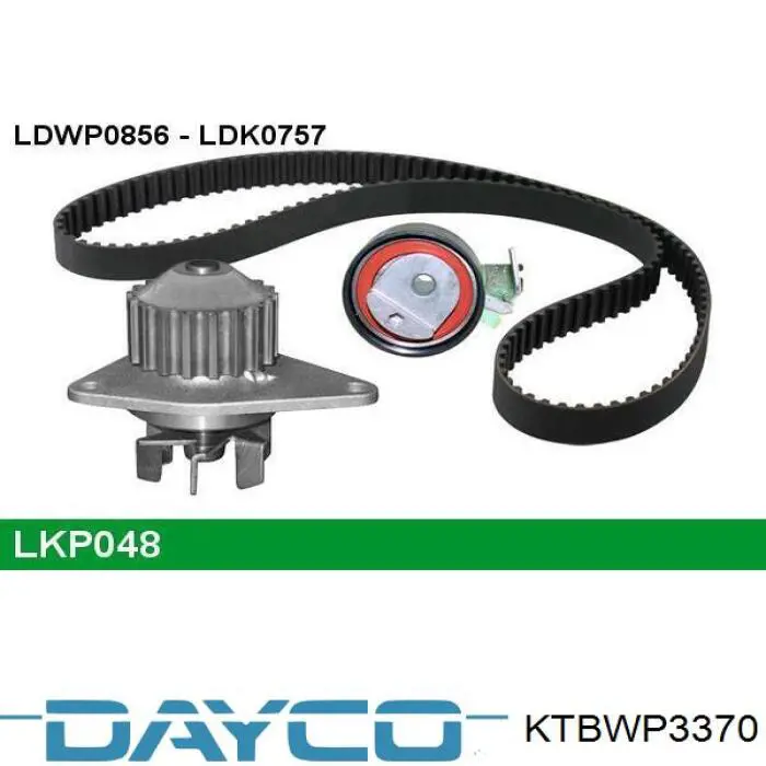 Juego de correas dentadas Dayco KTBWP3370 precio, desde 154,80 EUR