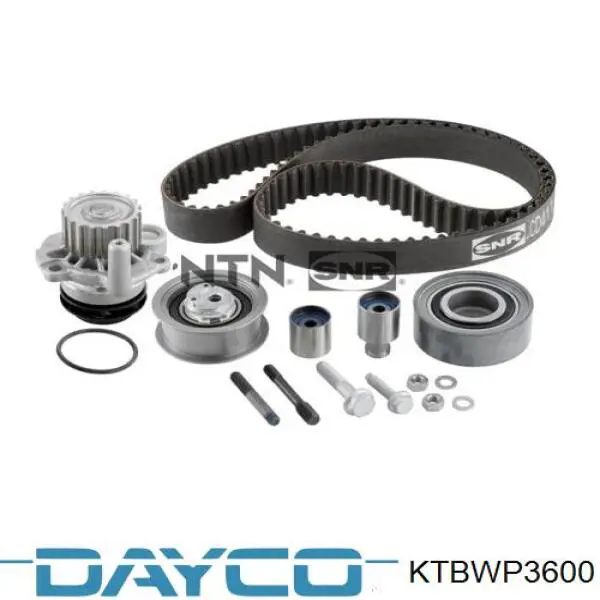 Juego de correas dentadas Dayco KTBWP3600 precio, desde 173,31 EUR