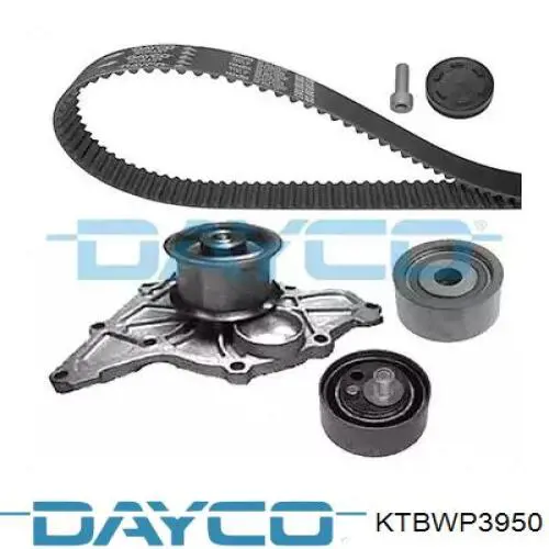 Juego de correas dentadas Dayco KTBWP3950 precio, desde 162,79 EUR