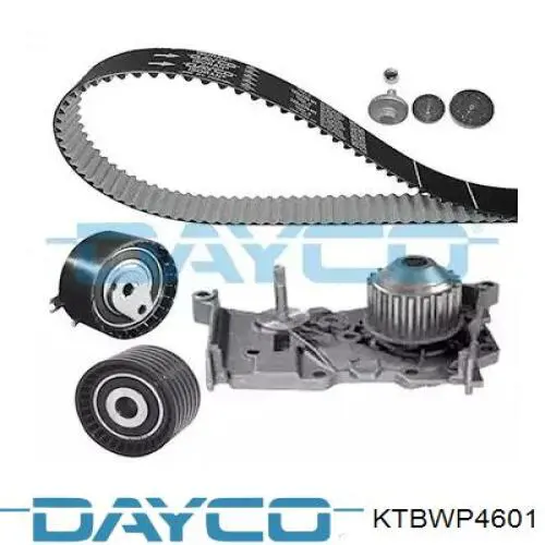 Juego de correas dentadas Dayco KTBWP4601 precio, desde 101,93 EUR