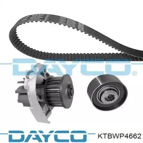 Comprar KTBWP4662 Dayco Kit de correa de distribución