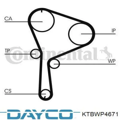 Comprar KTBWP4671 Dayco Kit de correa de distribución