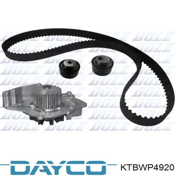 Juego de correas dentadas Dayco KTBWP4920 precio, desde 150,13 EUR