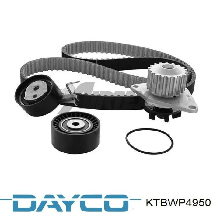 Comprar KTBWP4950 Dayco Kit de correa de distribución